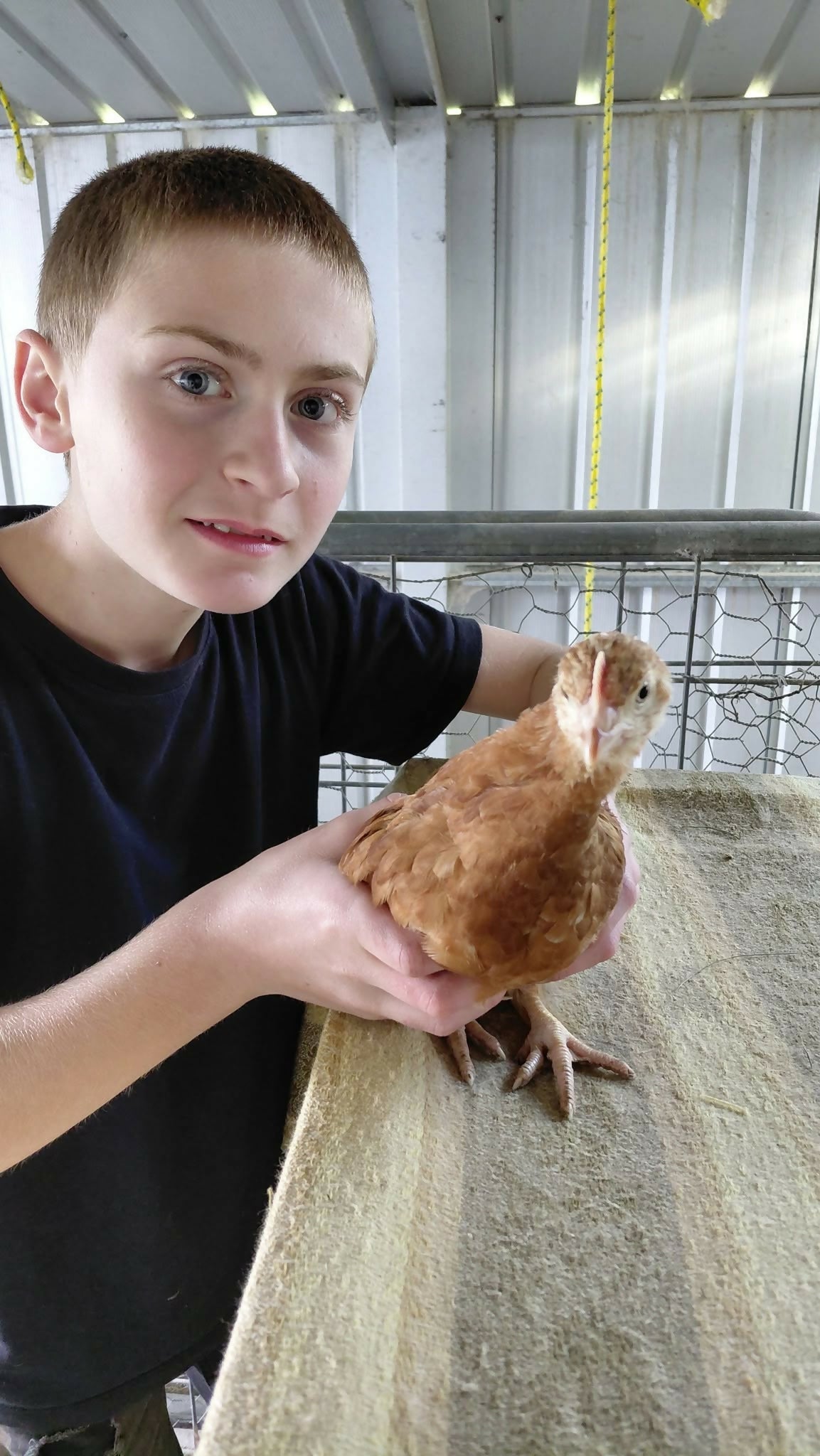 Noah holding a young hen at Noah's Cheeky Chicks