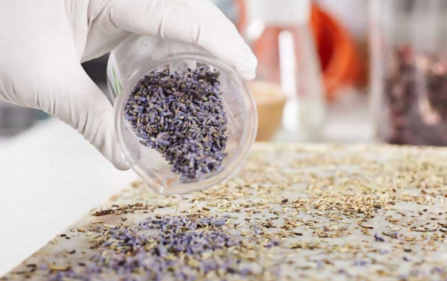 Natural ingredients used in Australian skincare and bodycare manufacturing by Botany Essentials