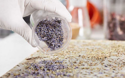 Natural ingredients used in Australian skincare and bodycare manufacturing by Botany Essentials