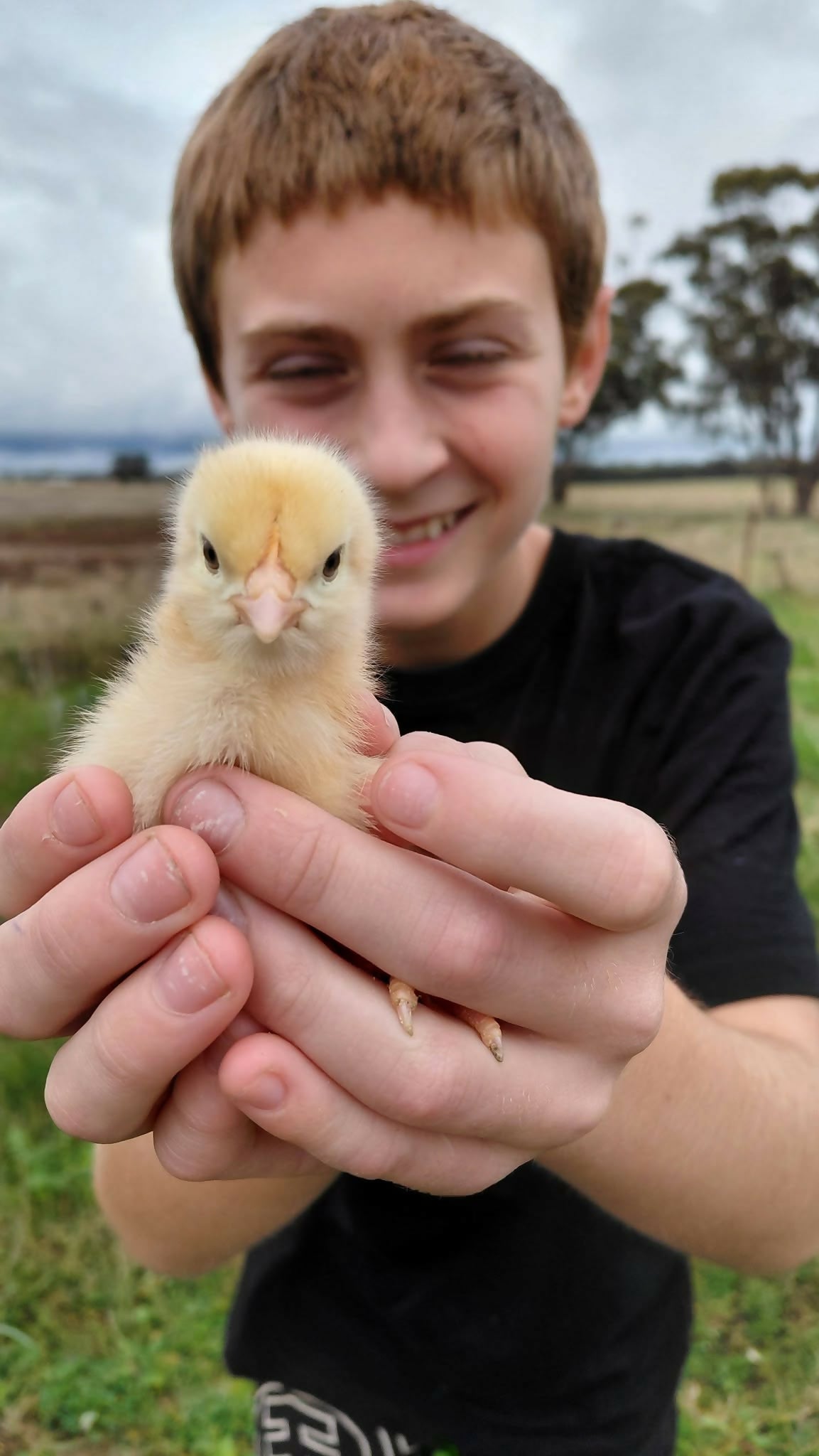 Noah holding a baby chick at Noah's Cheeky Chicks