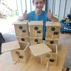 Handmade twin set timber bird breeding boxes by Noah’s Creations