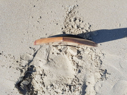 Riley solid balsa bodysurfing handboard resting at an angle on beach sand